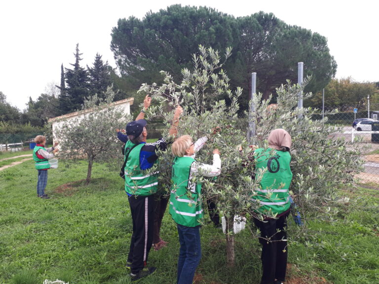 Lire la suite à propos de l’article Reportage France 3 Récolte Solidaire 2022