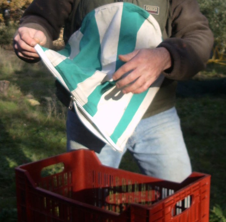 Lire la suite à propos de l’article Ateliers couture de sacs de cueillette d’olives